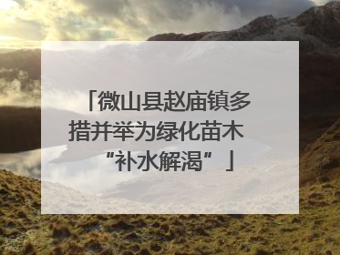 微山县赵庙镇多措并举为绿化苗木“补水解渴”