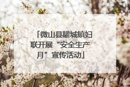 微山县驩城镇妇联开展“安全生产月”宣传活动