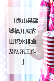 微山县驩城镇开展农田积水排查及防汛工作
