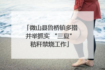 微山县鲁桥镇多措并举抓实 “三夏” 秸秆禁烧工作