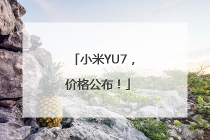 小米YU7，价格公布！