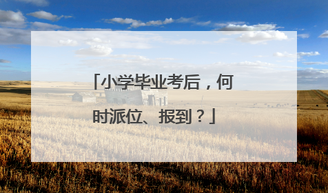 小学毕业考后，何时派位、报到？