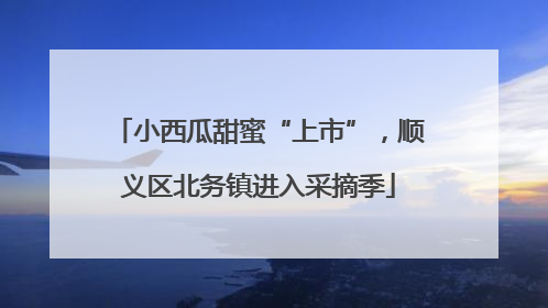 小西瓜甜蜜“上市”，顺义区北务镇进入采摘季