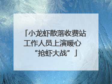 小龙虾散落收费站 工作人员上演暖心“抢虾大战”