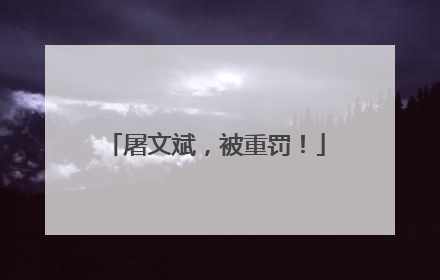 屠文斌，被重罚！