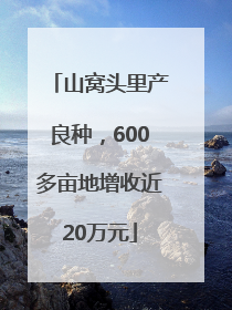 山窝头里产良种，600多亩地增收近20万元