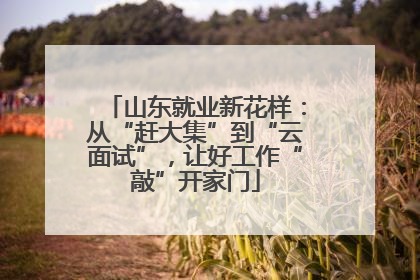 山东就业新花样：从“赶大集”到“云面试”，让好工作“敲”开家门
