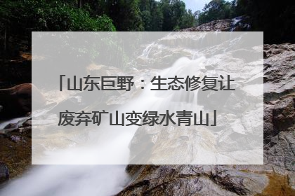 山东巨野：生态修复让废弃矿山变绿水青山