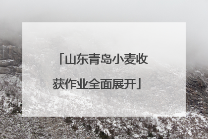 山东青岛小麦收获作业全面展开