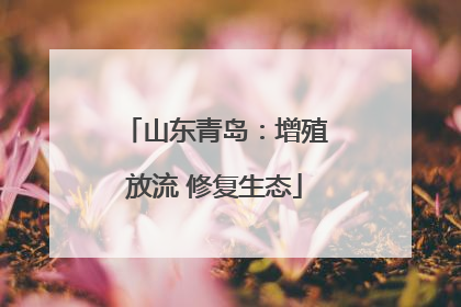 山东青岛：增殖放流 修复生态