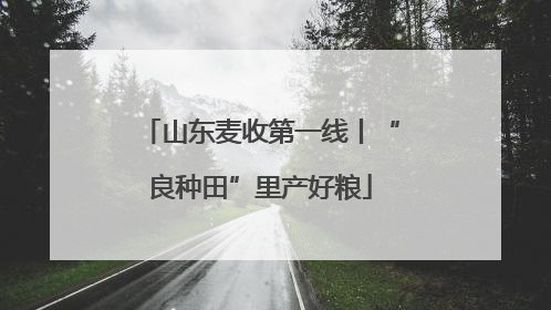 山东麦收第一线丨“良种田”里产好粮
