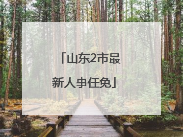 山东2市最新人事任免