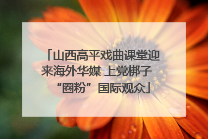 山西高平戏曲课堂迎来海外华媒 上党梆子“圈粉”国际观众