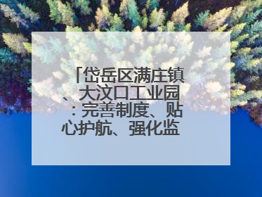 岱岳区满庄镇、大汶口工业园：完善制度、贴心护航、强化监管，打造优质营商“强磁场”