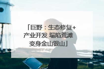巨野：生态修复+产业开发 塌陷荒滩变身金山银山