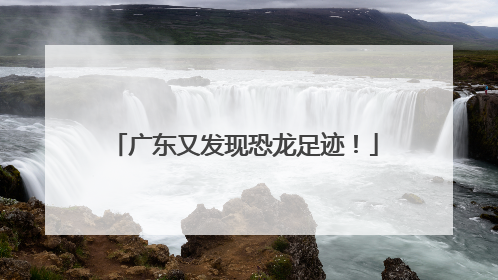 广东又发现恐龙足迹！