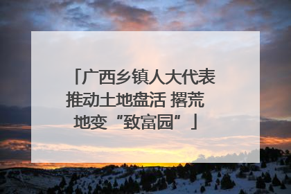 广西乡镇人大代表推动土地盘活 撂荒地变“致富园”