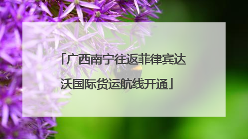 广西南宁往返菲律宾达沃国际货运航线开通
