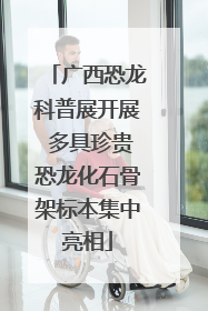 广西恐龙科普展开展 多具珍贵恐龙化石骨架标本集中亮相