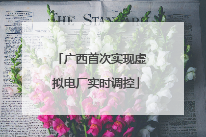 广西首次实现虚拟电厂实时调控