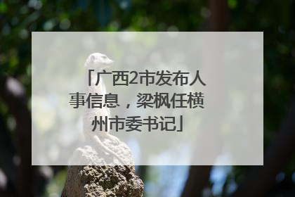 广西2市发布人事信息，梁枫任横州市委书记