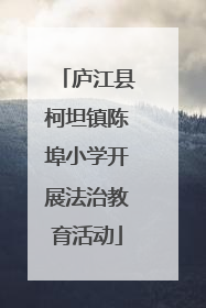 庐江县柯坦镇陈埠小学开展法治教育活动