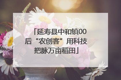 延寿县中和镇00后“农创客”用科技把脉万亩稻田