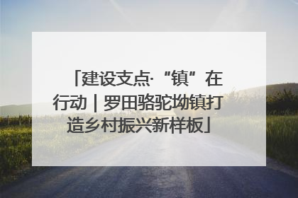 建设支点·“镇”在行动｜罗田骆驼坳镇打造乡村振兴新样板