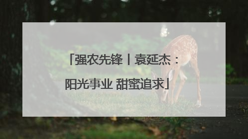 强农先锋丨袁延杰：阳光事业 甜蜜追求