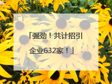 强劲！共计招引企业632家！