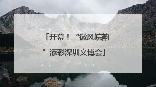 开幕！“徽风皖韵”添彩深圳文博会