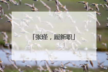 张瑾，履新职