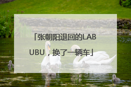 张朝阳退回的LABUBU，换了一辆车