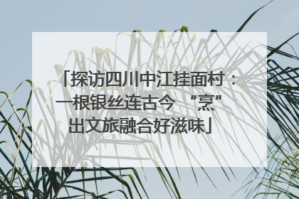 探访四川中江挂面村：一根银丝连古今 “烹”出文旅融合好滋味