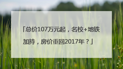 总价107万元起，名校+地铁加持，房价重回2017年？