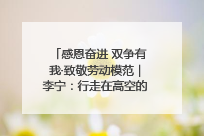 感恩奋进 双争有我·致敬劳动模范｜李宁：行走在高空的“电网卫士”