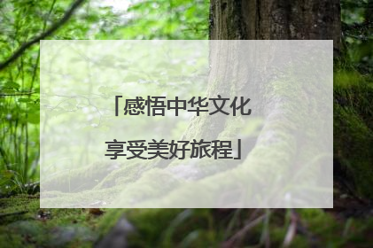 感悟中华文化 享受美好旅程