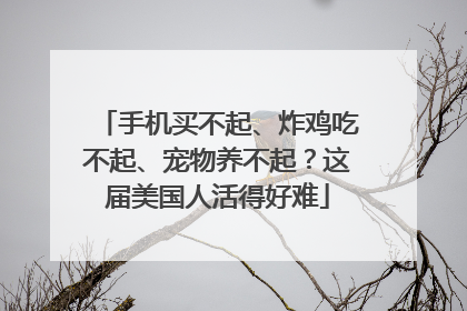 手机买不起、炸鸡吃不起、宠物养不起？这届美国人活得好难