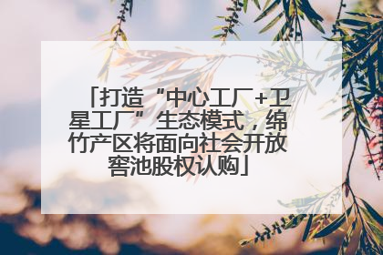 打造“中心工厂+卫星工厂”生态模式，绵竹产区将面向社会开放窖池股权认购