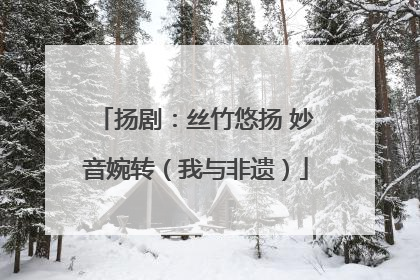 扬剧：丝竹悠扬 妙音婉转（我与非遗）