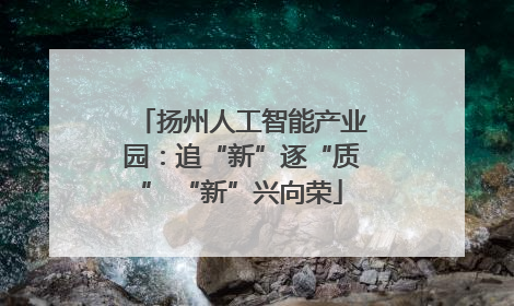 扬州人工智能产业园：追“新”逐“质” “新”兴向荣