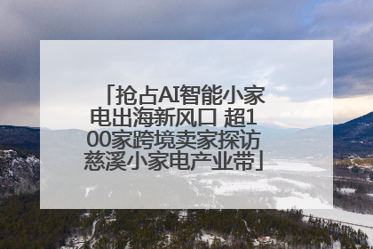 抢占AI智能小家电出海新风口 超100家跨境卖家探访慈溪小家电产业带