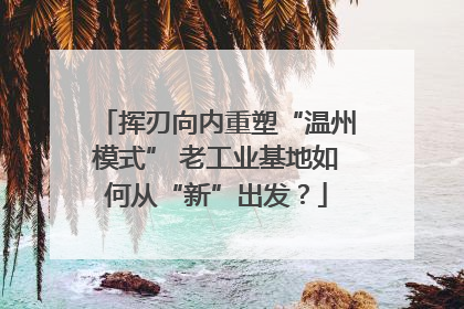 挥刃向内重塑“温州模式” 老工业基地如何从“新”出发？