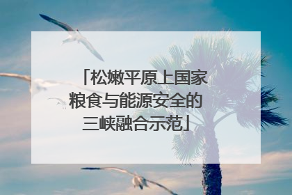 松嫩平原上国家粮食与能源安全的三峡融合示范