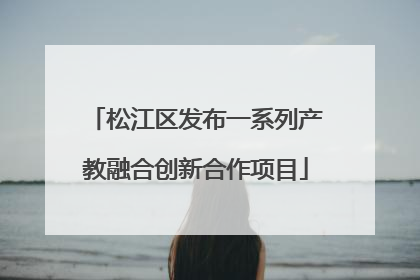 松江区发布一系列产教融合创新合作项目