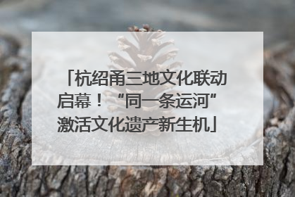 杭绍甬三地文化联动启幕！“同一条运河”激活文化遗产新生机