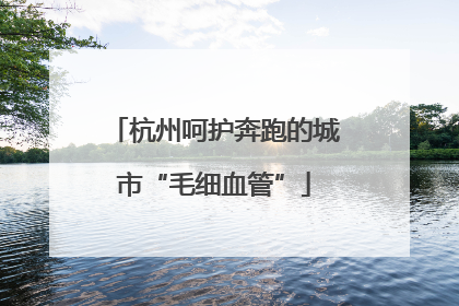 杭州呵护奔跑的城市“毛细血管”