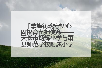 擎旗铸魂守初心 固根育苗担使命——天长市炳辉小学与萧县师范学校附属小学结对共建活动纪实