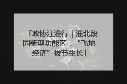 政协江淮行｜淮北段园新型功能区：“飞地经济”拔节生长