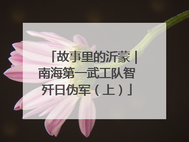 故事里的沂蒙｜南海第一武工队智歼日伪军（上）